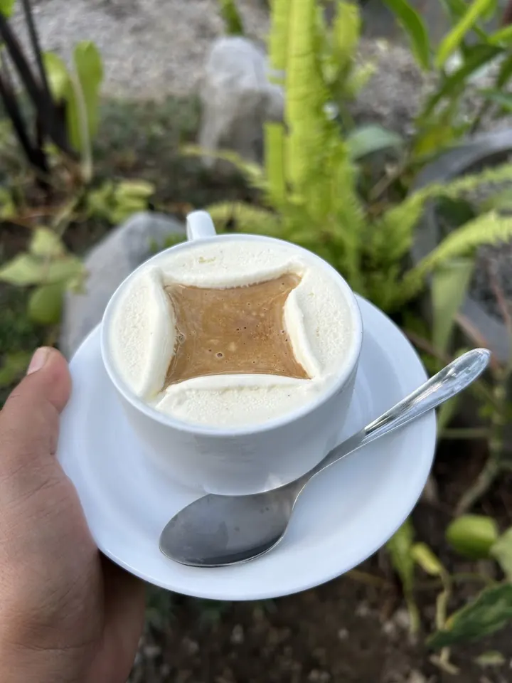 A hot latte with a soft square of foam, held on a saucer above the garden.